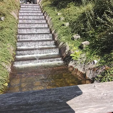 Hochwald Maxi * باد ساخسا