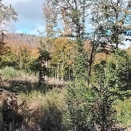 Hochwald Maxi باد ساخسا