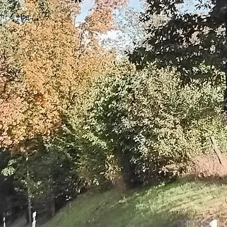 Lejlighed Hochwald Maxi